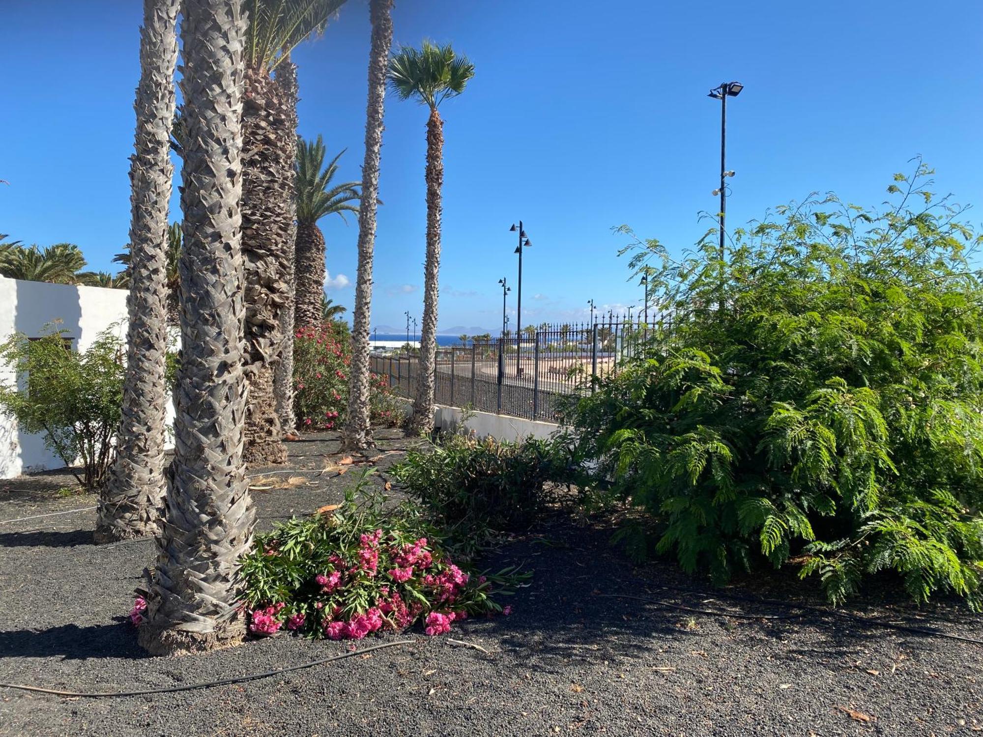 Las Brisas, Villa 94 Playa Blanca  Kültér fotó